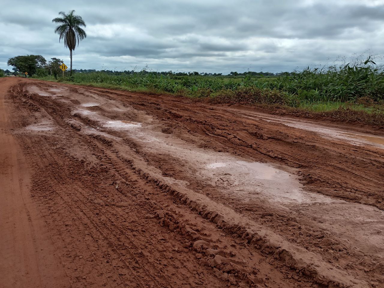 En este momento estás viendo Carretera San Matías – Santa Cruz Colapsada: Lluvias y Accidentes Aislan la Región