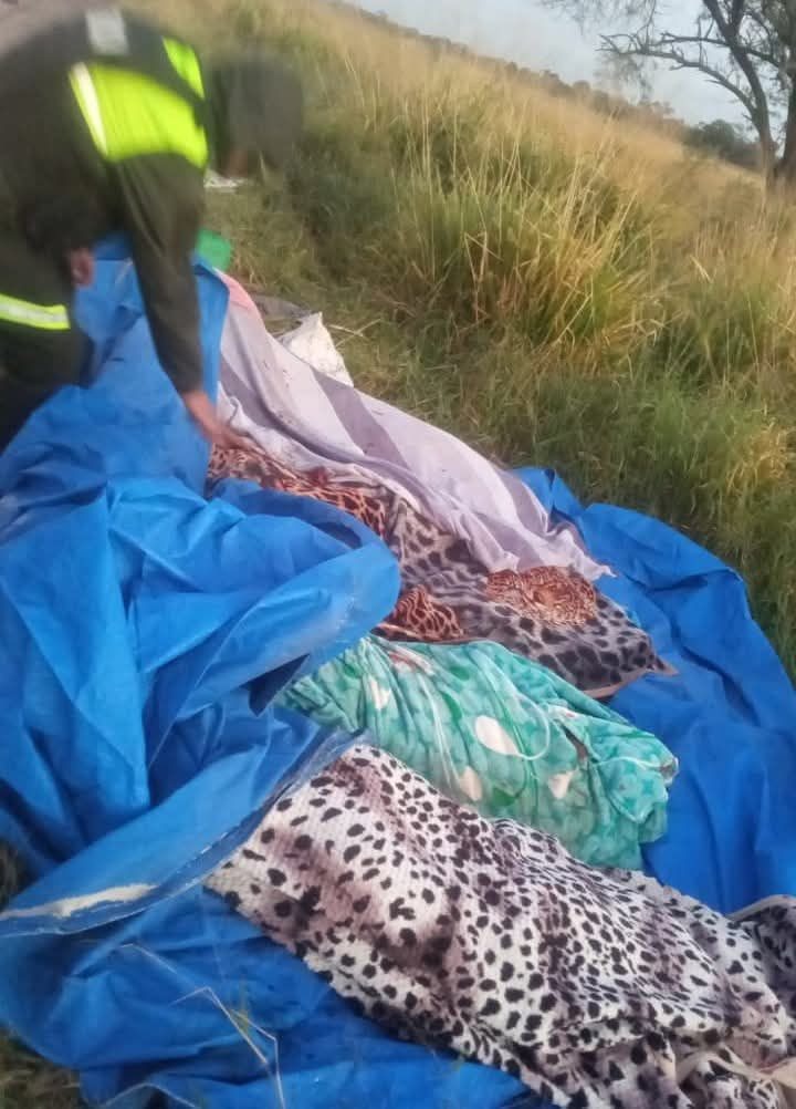 En este momento estás viendo Tragedia en la Carretera Bioceánica: Cinco Fallecidos en Accidente entre El Tinto y Quimome